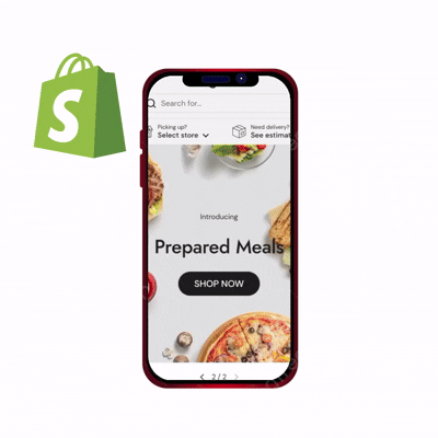 Shopify Store Development Process